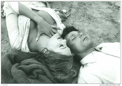 Sylvia Sorrente