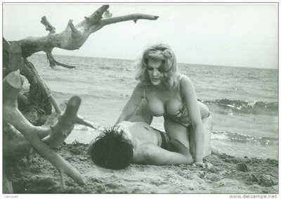 Sylvia Sorrente