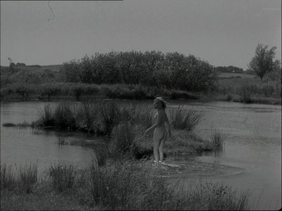 Tove Maës