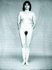 Kristien Hemmerechts