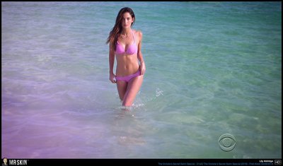 Lily Aldridge