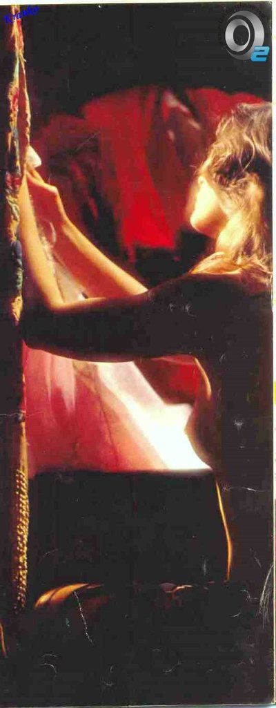 Bibi Vogel