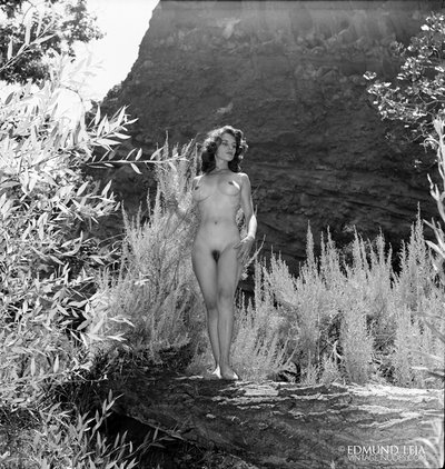 Marilyn Wesley