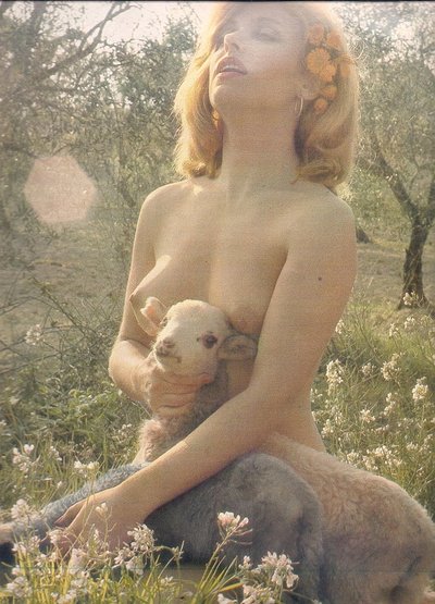 Silvia Tortosa