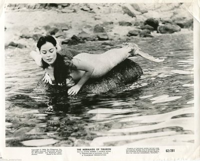 Diane Webber
