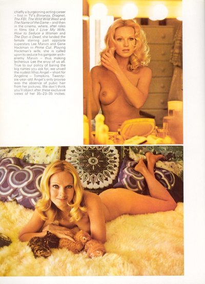 Angel Tompkins