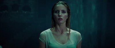 Annabelle Wallis