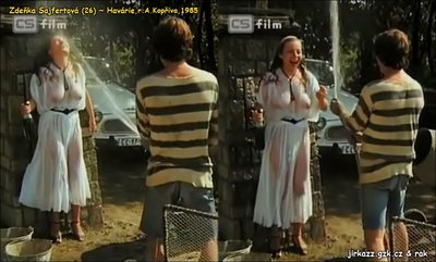 Zdeňka Sajfertová