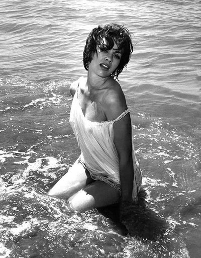 Beth Rogan