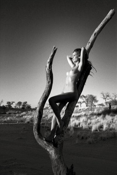 Ann Van Elsen