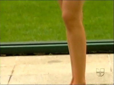Aracely Arambula