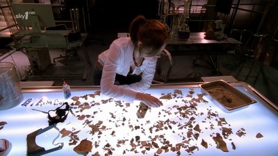Emily Deschanel