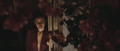 Elena Anaya