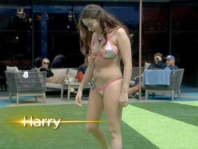 Harry Amelia