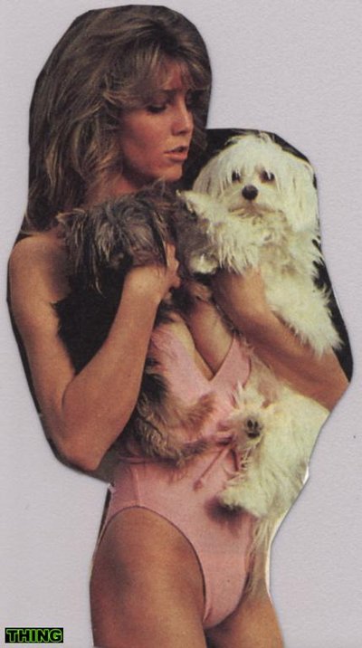 Heather Locklear