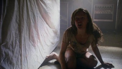Julia Stiles