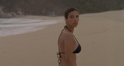 Maribel Verdú