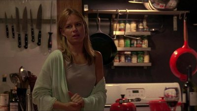 Mary Lynn Rajskub