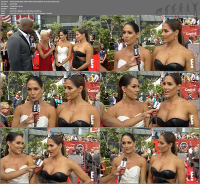 Nikki Bella