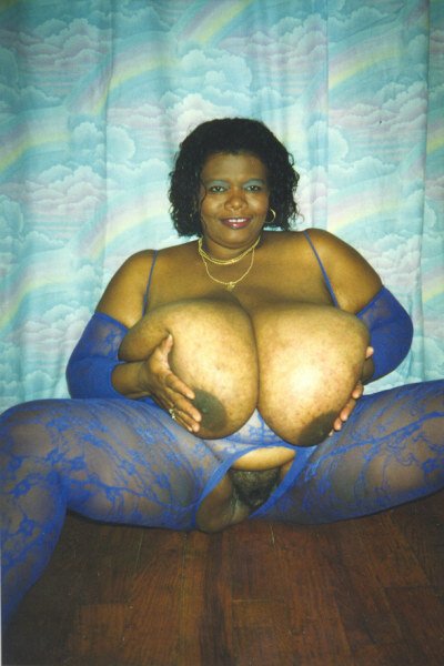 Norma Stitz