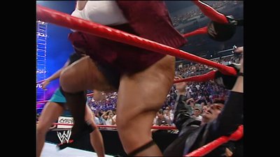 Stephanie McMahon-Levesque