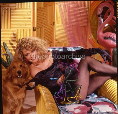Sheree J. Wilson
