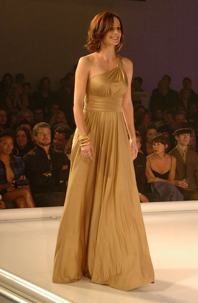 Sarah Wayne Callies