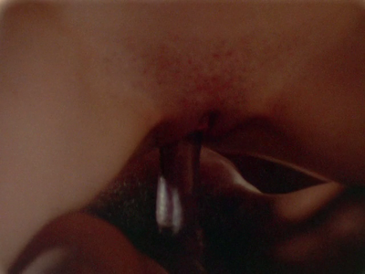 Shelly Turner