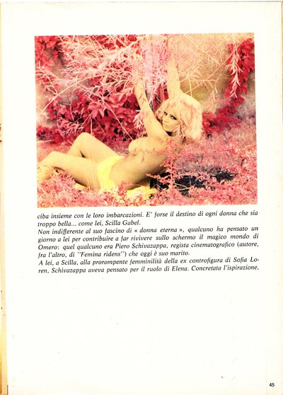 Scilla Gabel