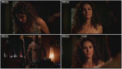 Amy Brenneman