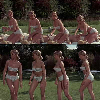 Jan Williams