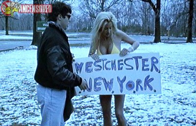Camille Grammer