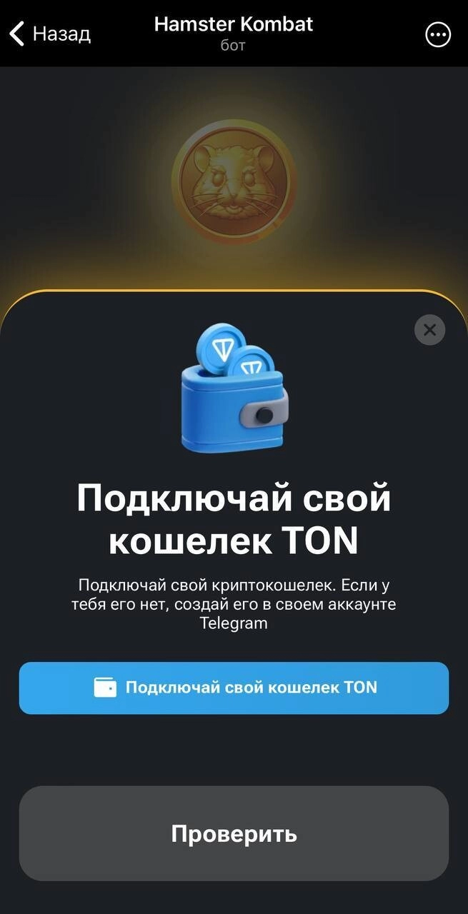 Как поменять кошелек в хомяке Hamster Kombat