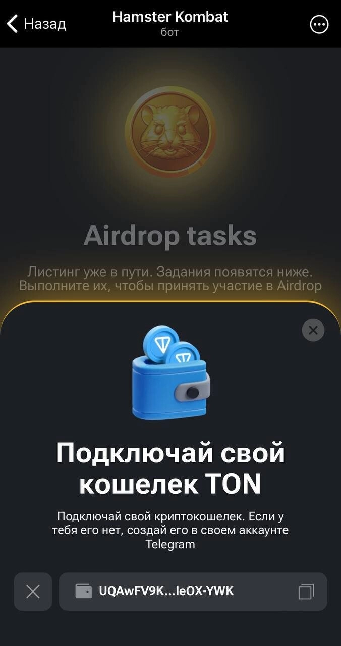 Как поменять кошелек в хомяке Hamster Kombat